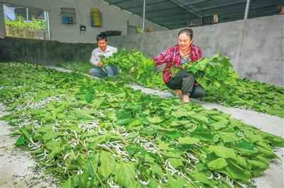 点赞！海南表扬一批脱贫攻坚先进小我私家｜附先进事迹