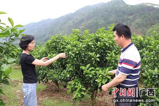 武宣县二塘镇小林村驻村第一书记黎子君：村民的“贴心书记”