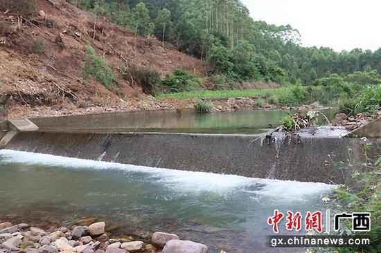 武宣县二塘镇小林村驻村第一书记黎子君：村民的“贴心书记”