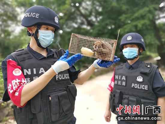 崇左领土民警持续救济国度一级野生掩护动物蜂猴