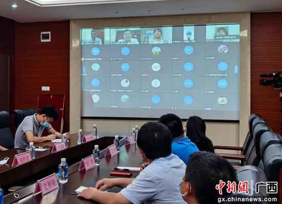 桂鄂两地医技学术交换 线上同框长途查房勾当将成常态