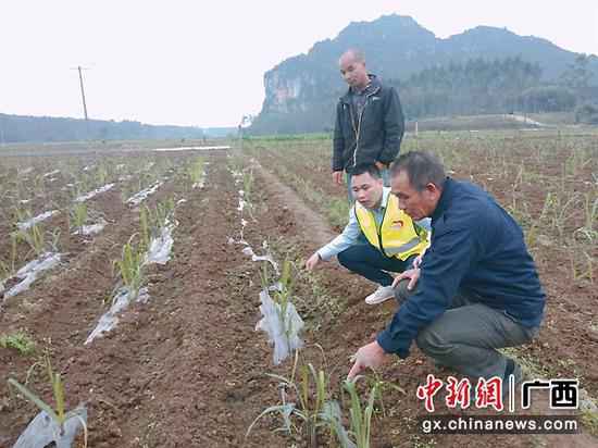 脱贫攻坚战线上的90后“宿将”