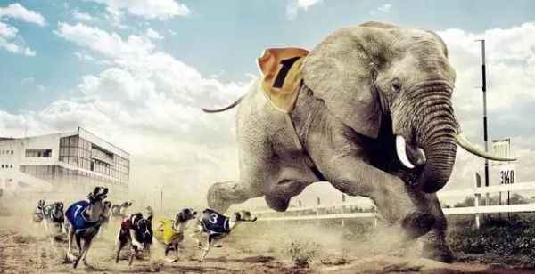  企业拥抱大数据，Hadoop 和Spark渐受接待