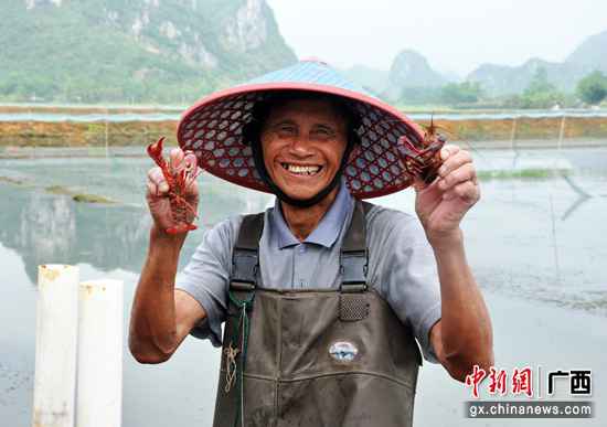 广西上林县成长高值渔养殖财富 拓宽农夫致富道路