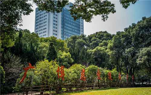 沪力推专家看普通门诊 这些医院的王牌专科你都知道吗?