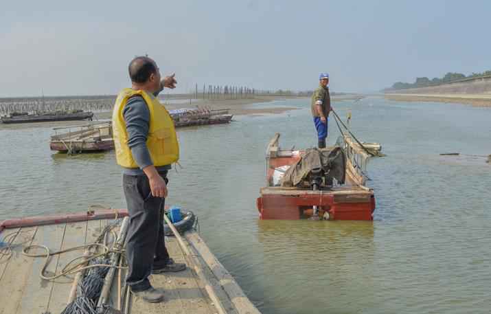 【大美广东】汕头牛田洋红树林景观带：全省最长的“海上绿色长城”