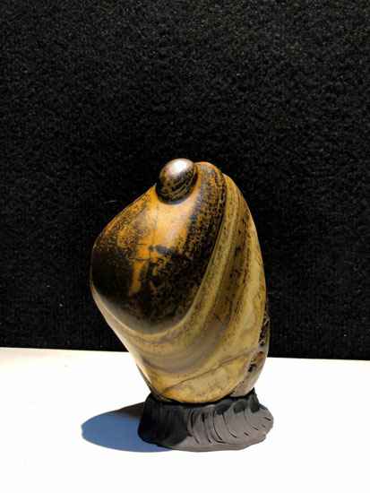 做个名副其“石”的人——访奇石保藏家齐西零