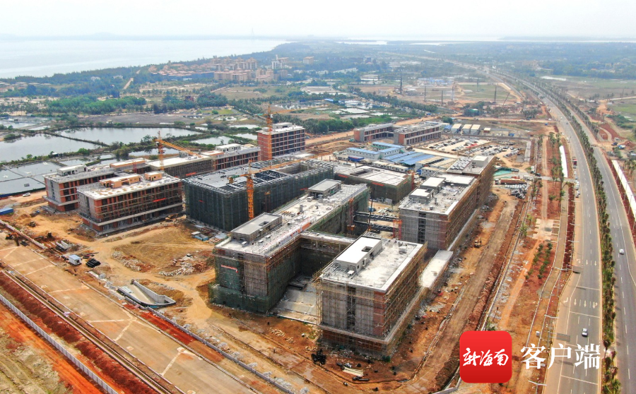 海南加速国际教诲创新岛建树 打造教诲开放成长新标杆