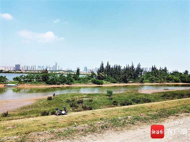 海口南渡江东岸将晋升改革 美景不再被辜负