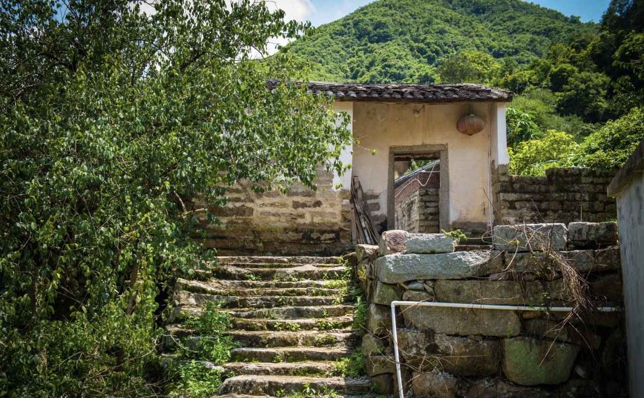 【岭南影象】揭阳揭西：西坑香雪海，坪上绿云烟