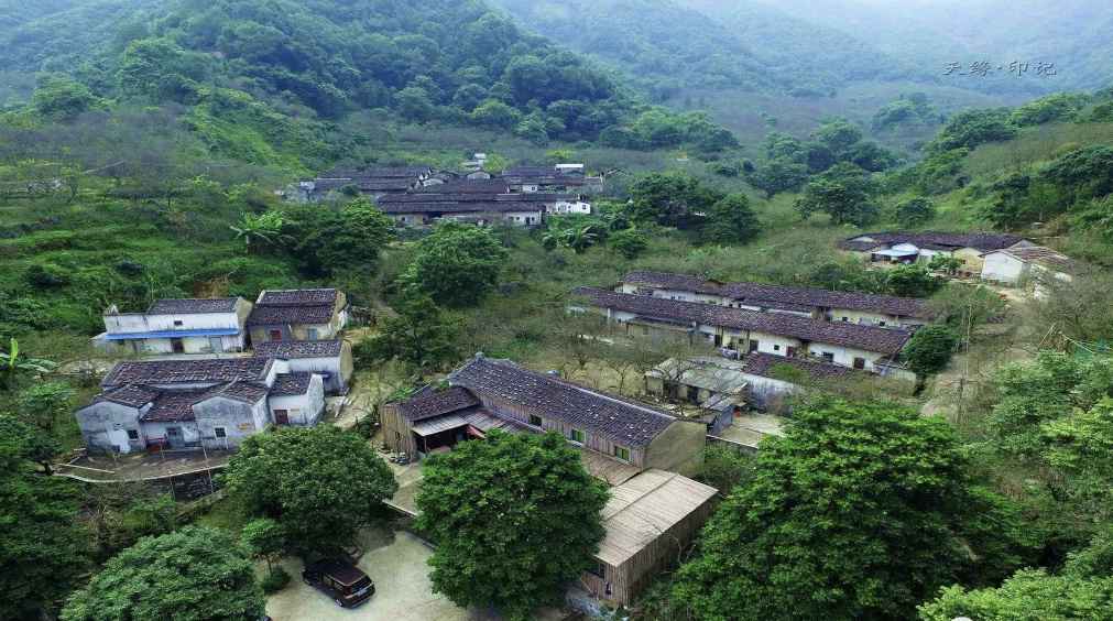 【岭南影象】揭阳揭西：西坑香雪海，坪上绿云烟