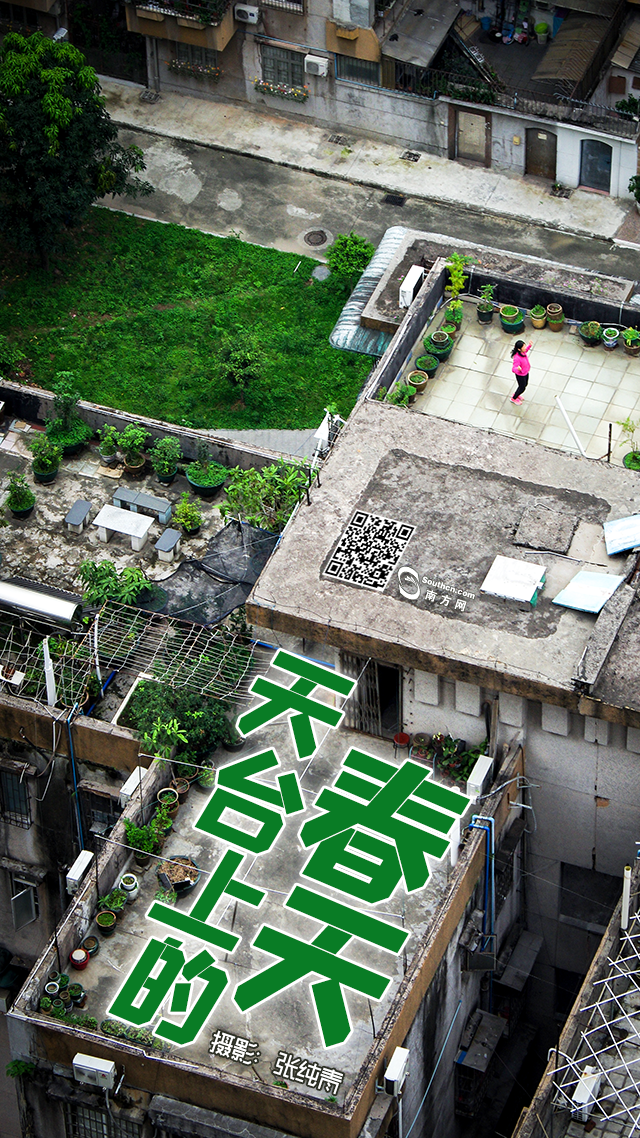 天台上的春天：方寸之地 别样糊口