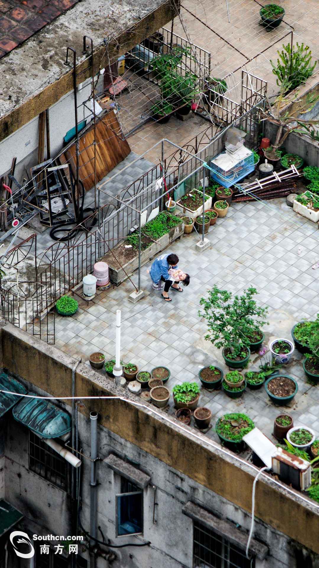 天台上的春天：方寸之地 别样糊口