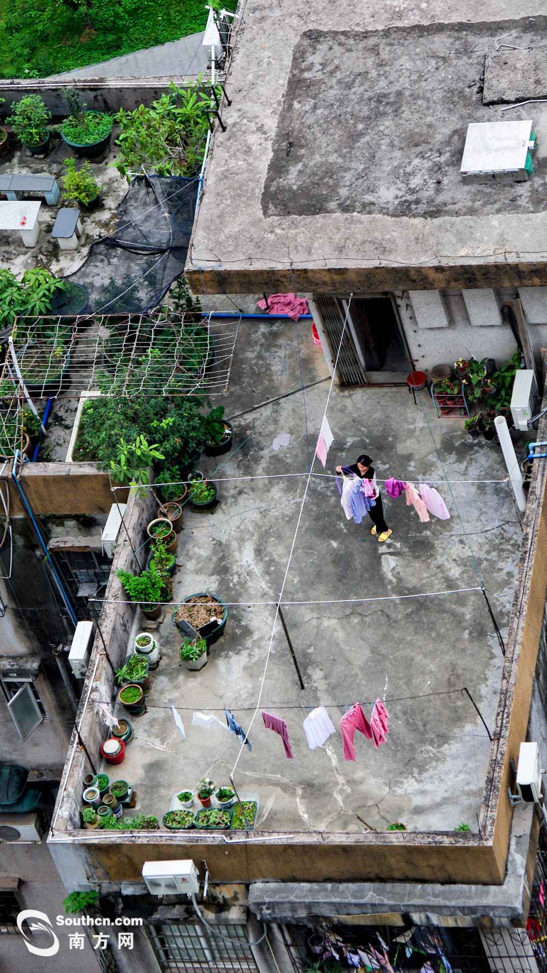 天台上的春天：方寸之地 别样糊口