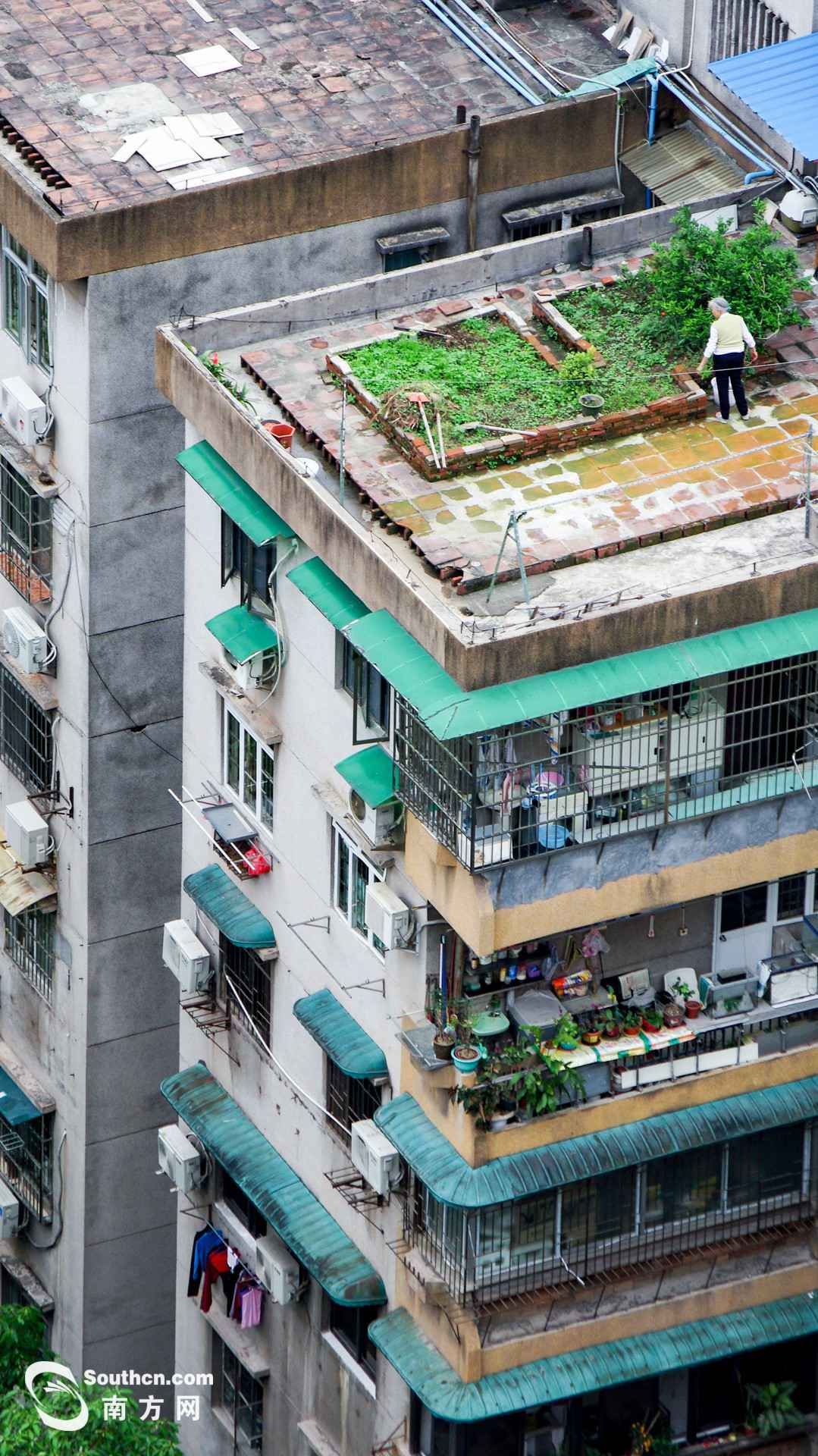 天台上的春天：方寸之地 别样糊口