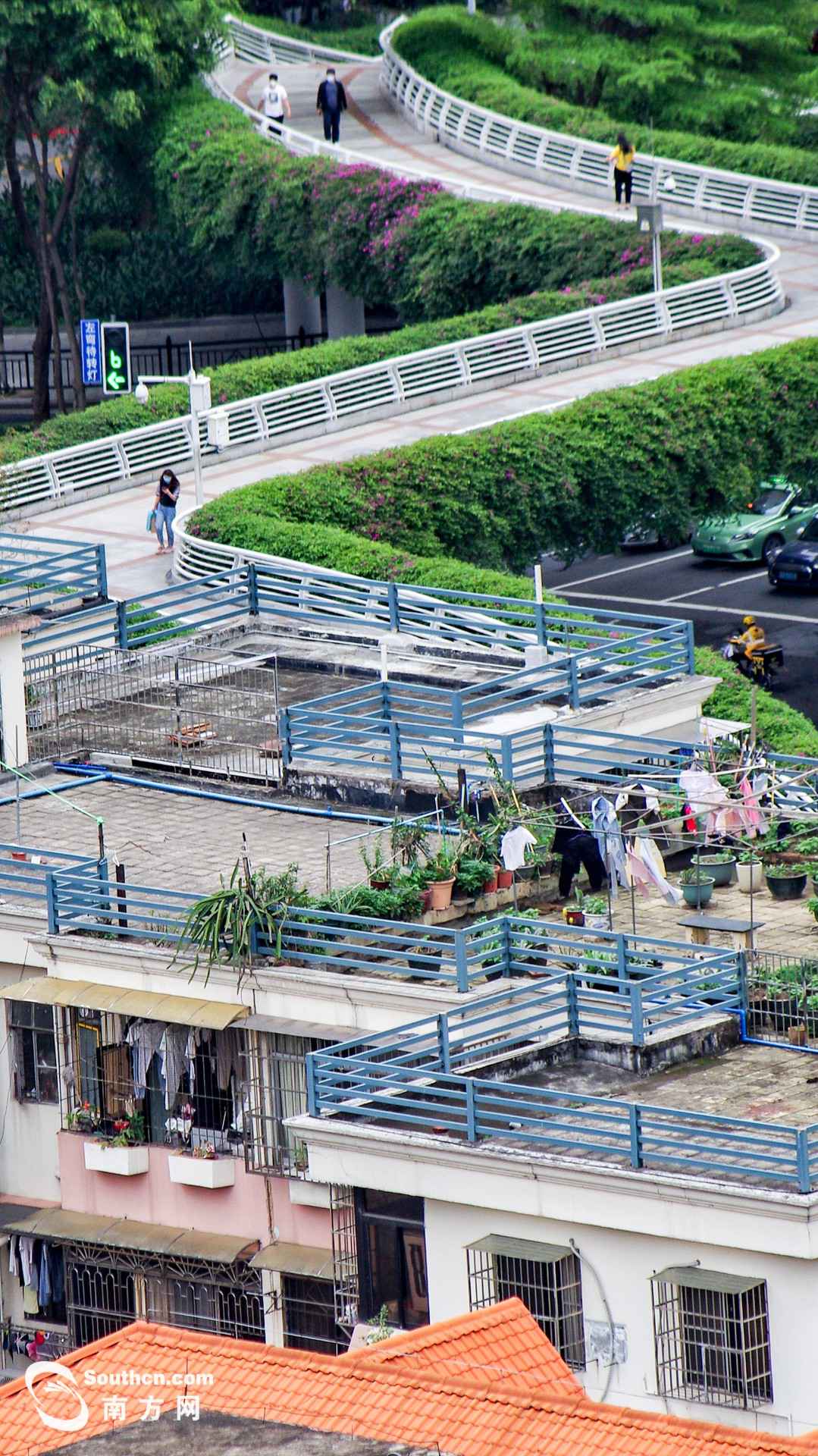 天台上的春天：方寸之地 别样糊口