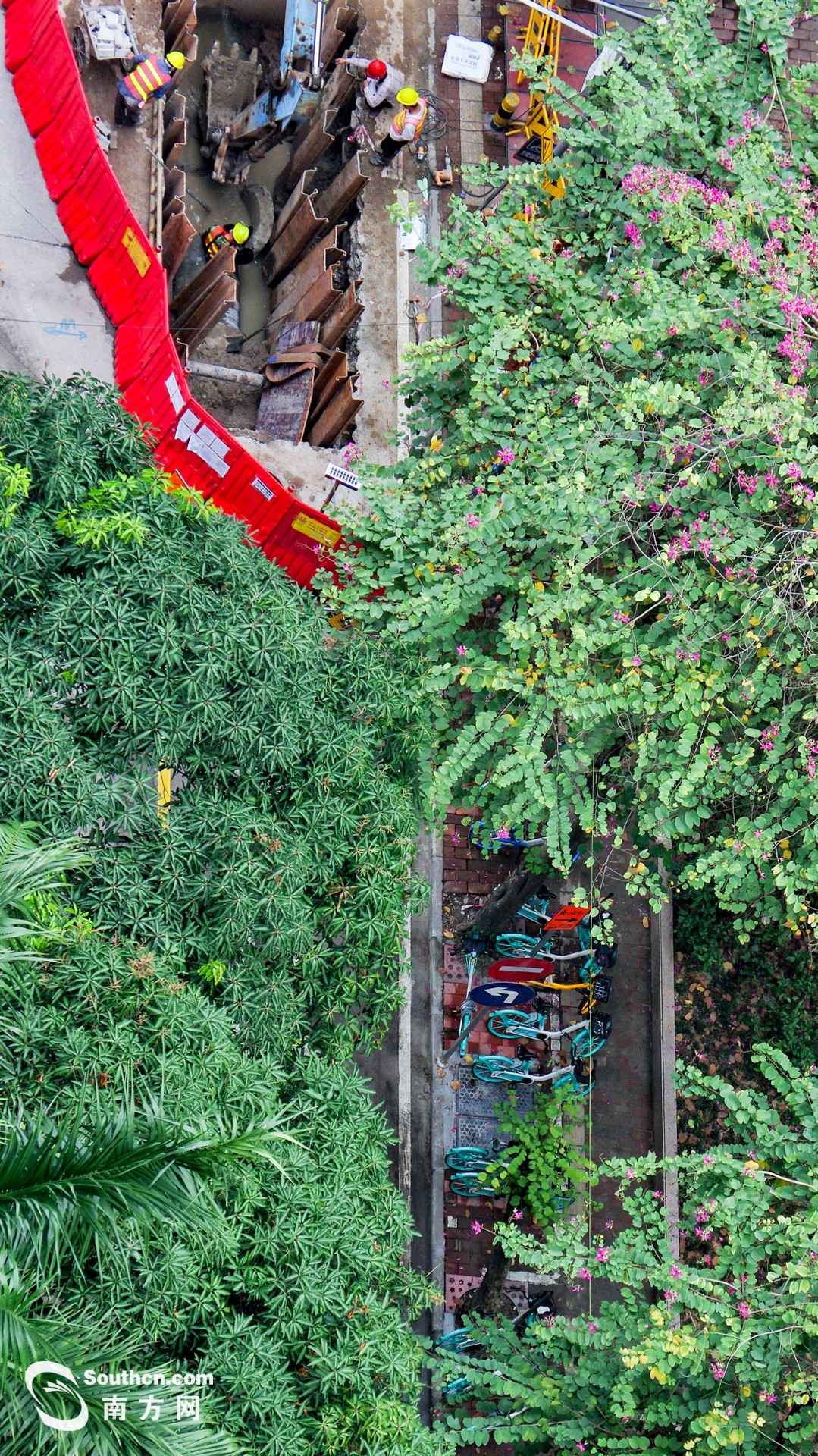 天台上的春天：方寸之地 别样糊口