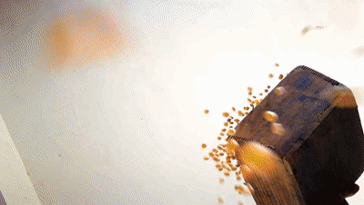 盘“双晒”| 美食诱惑！区长们端上的这些菜可还合你胃口？