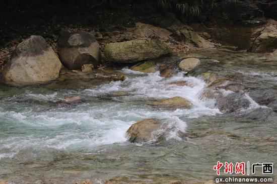 食用菌基地前的清澈河道。 喝泉水长大的木耳成广西融水公众增收脱贫“致富花”