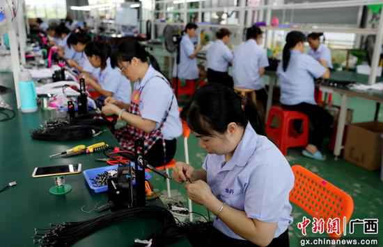 工人们在一家电子产物加工出产线上劳作。覃庆和 摄 广西融安:实现不变就业 固定脱贫成就