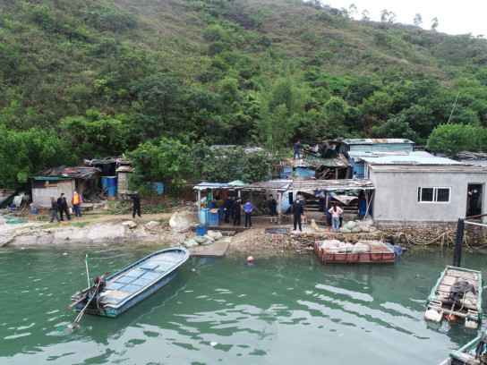 惠州大亚湾海洋综正当律人员完成许洲岛生态原貌规复事情