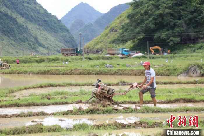 靖西：抢抓农时插秧忙 疫情之年保丰收