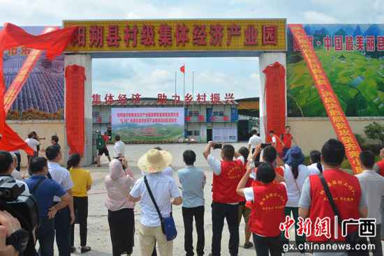 阳朔集团经济与消费扶贫相融合 一条龙处事多方共赢