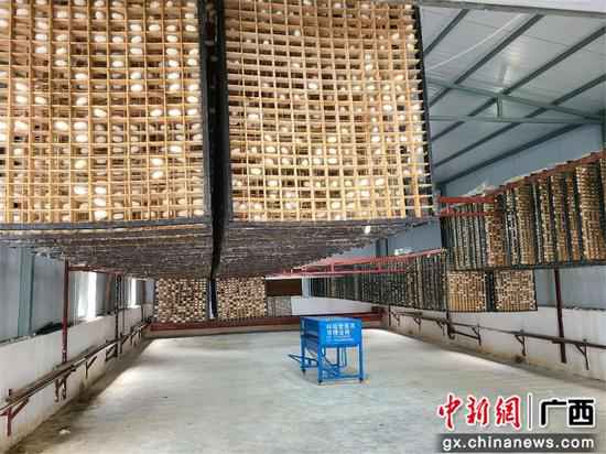 尺度蚕房。 广西鹿寨尺度化蚕房结出亿元产值“致富茧”