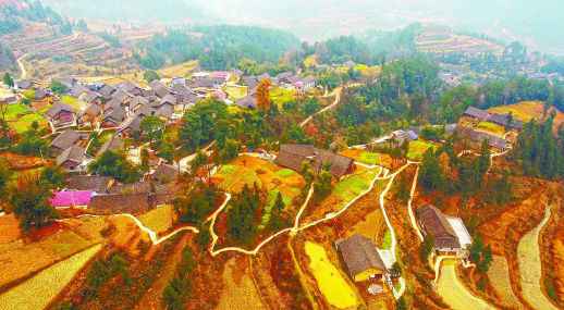 新中国创立70年来 湖南“三农”大业展宏图