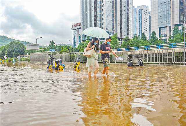 20余个区县遇暴雨 4条河道水位超警戒