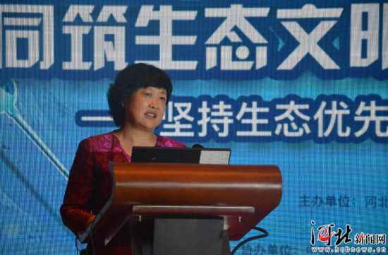 2019京津冀协同成长参事研讨会在张家口进行——中国新闻网河北