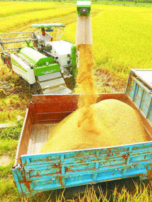 新中国创立70年来 湖南“三农”大业展宏图