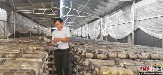 广西融水二级路助力财富成长 发动公众致富