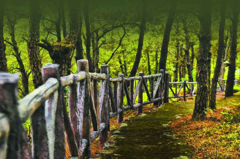 【旅游通】探寻佛山高超的“最美山径”