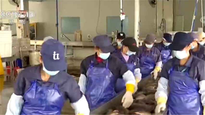 海南农业财富链不绝完善优化：出岛果蔬255万吨，同比增长29%