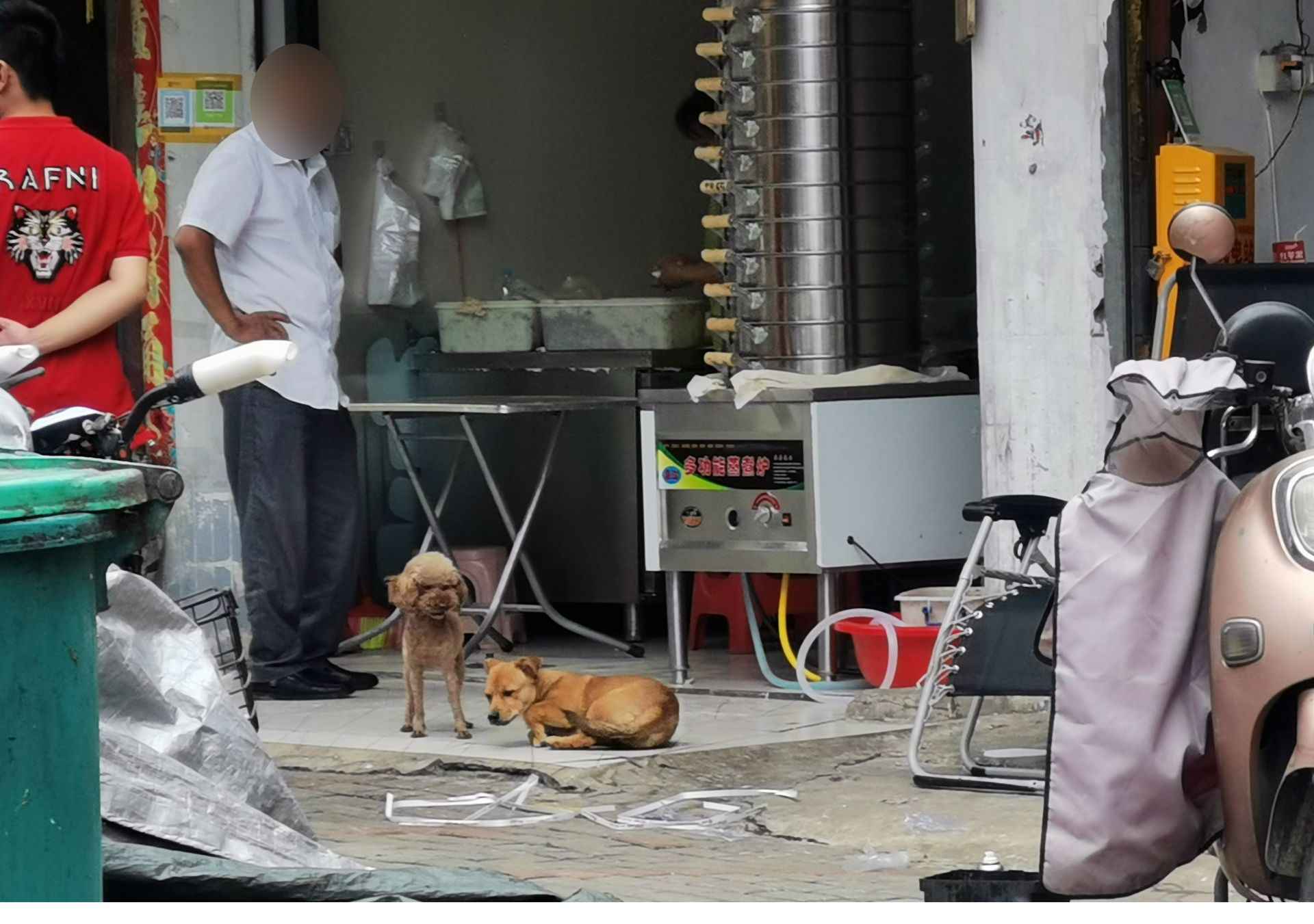 市民号令文明养犬