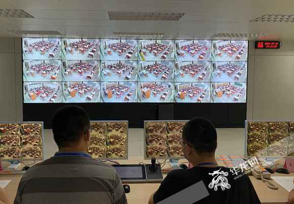 视频|高考组考如何举办？华龙网记者现场直击高考巡考