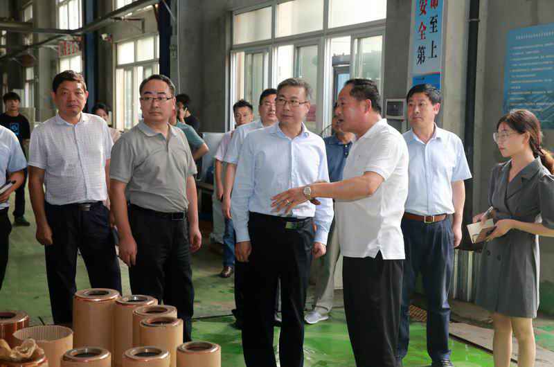 陈冰冰在怀宁县调研企业成长