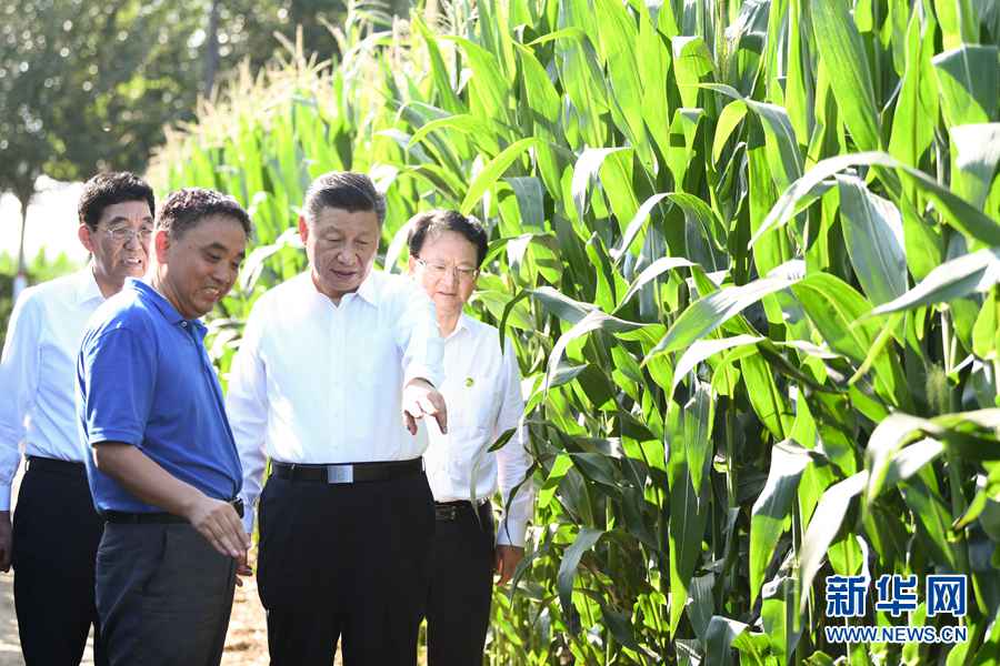 充满进展的郊外 大有可为的热土——习近平总书记观察吉林纪实