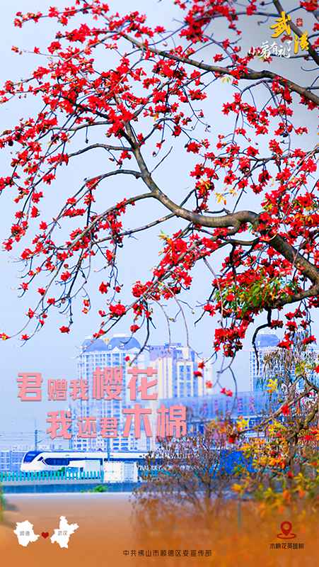 “武汉，小弟有礼了”——“小弟”顺德以海报回应“年迈”武汉