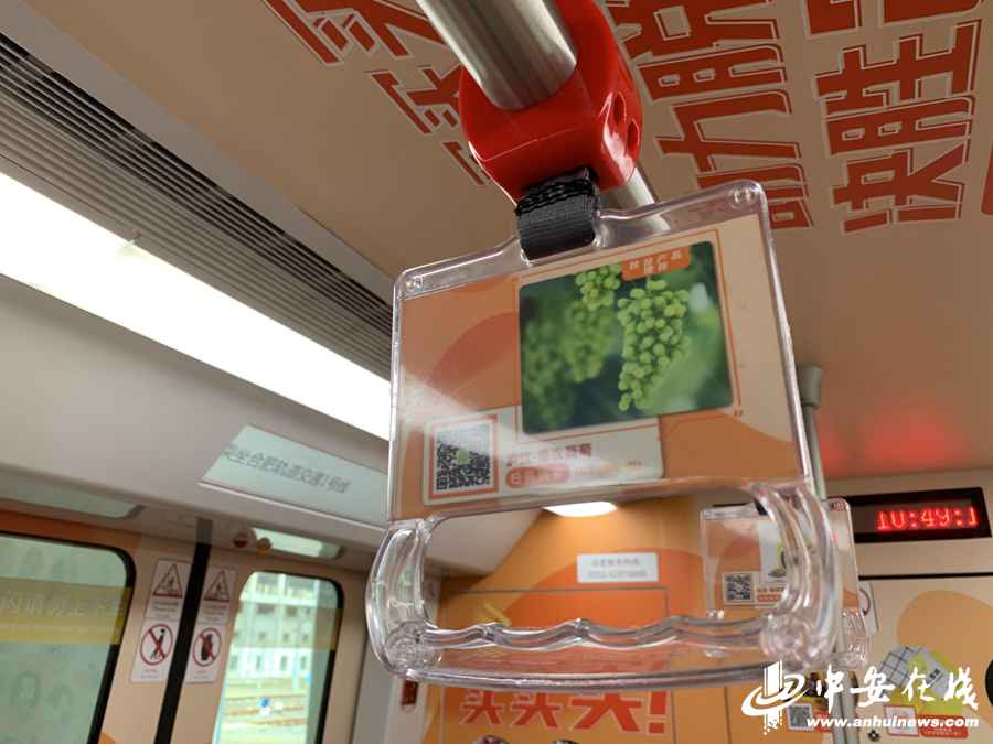 买买买！合肥地铁开通“消费扶贫”号专列上线