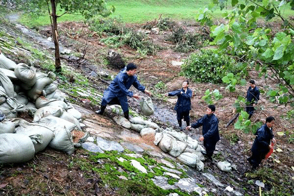 闻汛而动！迎江区西席防汛突击队用责任继续筑牢“堤坝”