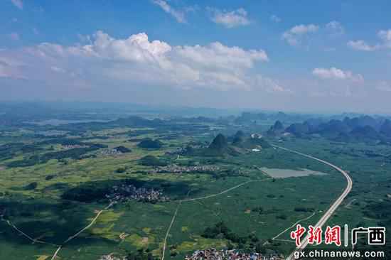 广西融安万亩蔗海成贫困群众的“绿色银行”