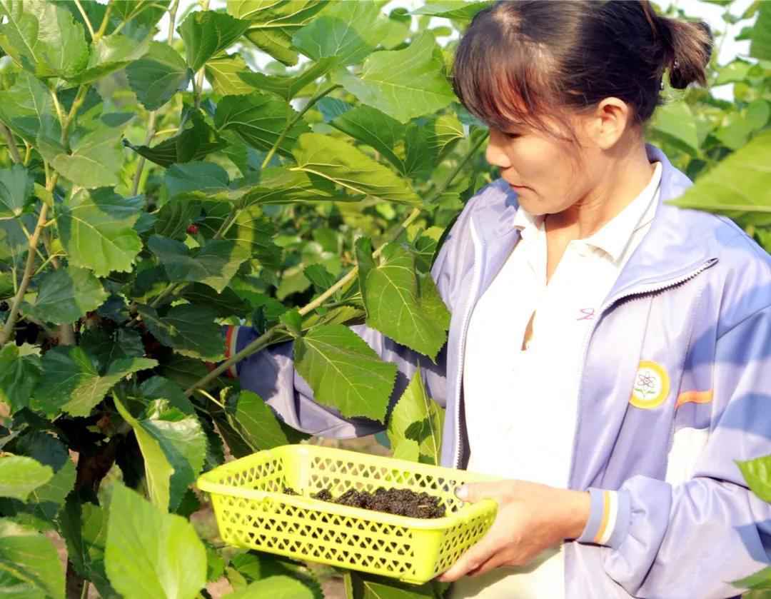 【脱贫攻坚】湛江遂溪河头镇：上坡村稳步走上“上坡路”