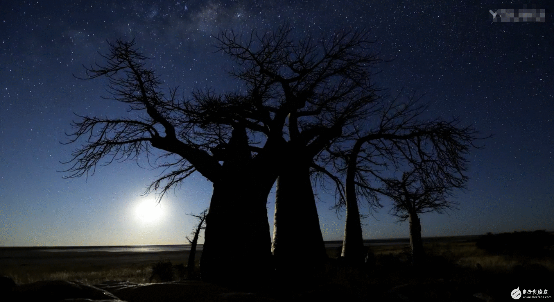 尼康D850宣传片曝光 8K延时摄影揭示之处令人血脉喷张！