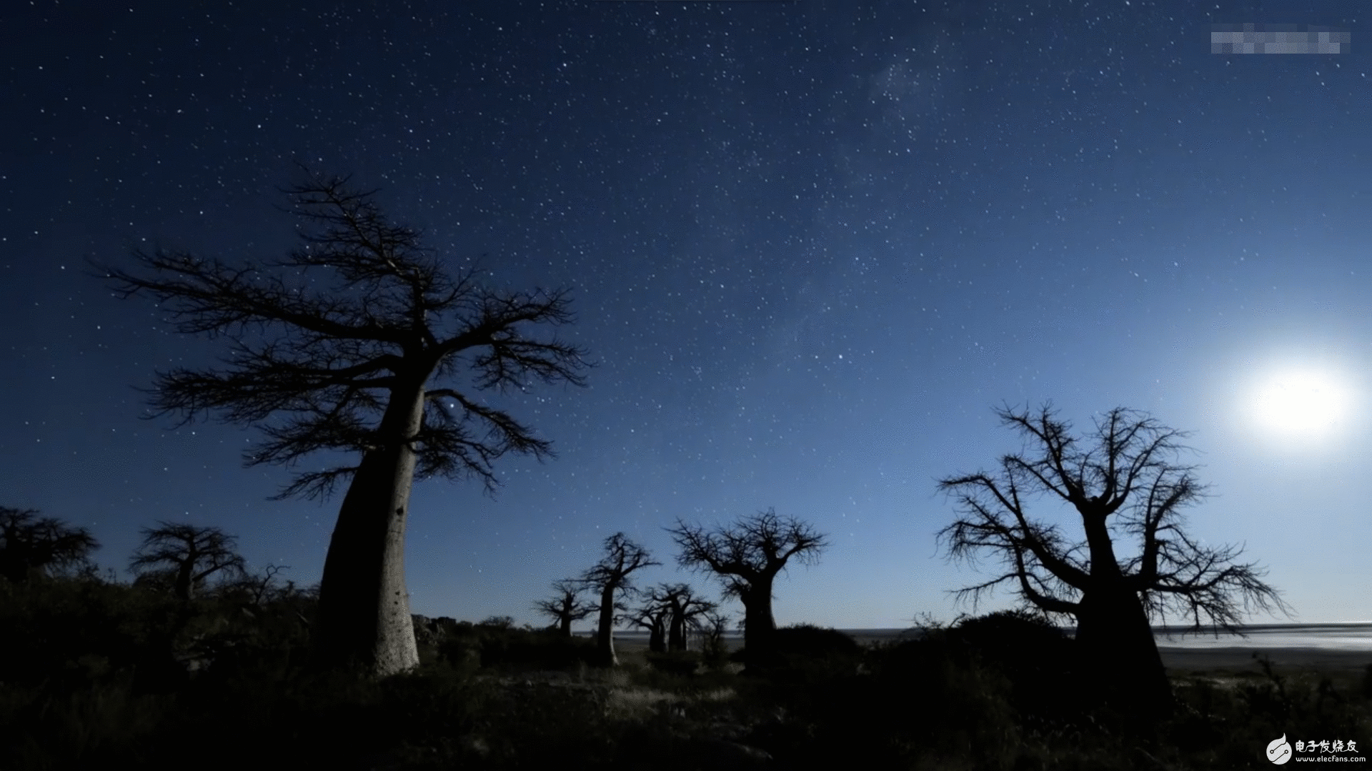 尼康D850宣传片曝光 8K延时摄影揭示之处令人血脉喷张！