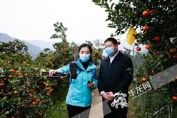 率领纷纷化身“主播” 看直播带货在重庆有多火