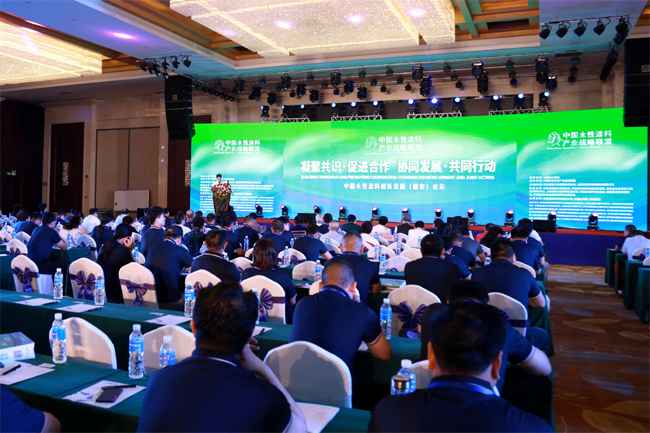  水漆盛会：中国水性涂料创新与生长(雄安)论坛召开