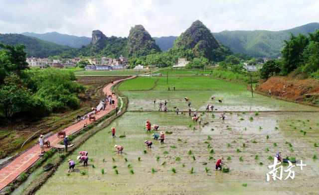 南边拍客看广东｜一周精选 立秋的期盼