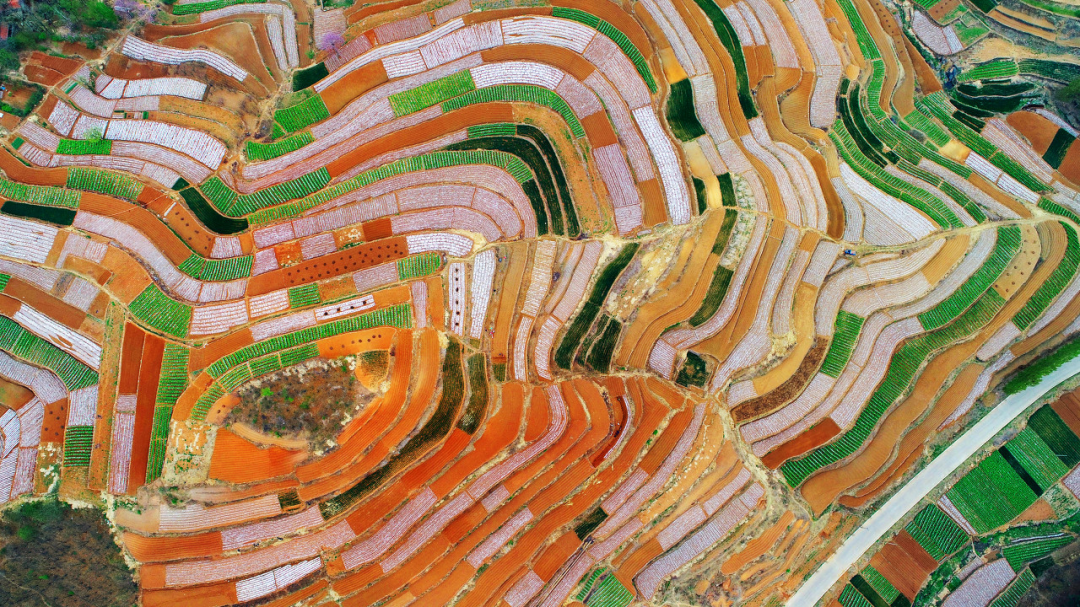 山东省文化和旅游厅厅长王磊为好客山东代言